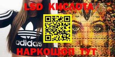apvp Канаш