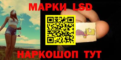apvp Канаш