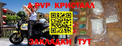 кокс Кингисепп