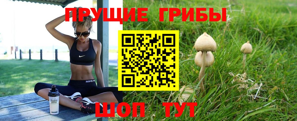 Галлюциногенные грибы MAGIC MUSHROOMS  Вход с VPN  Красноперекопск 