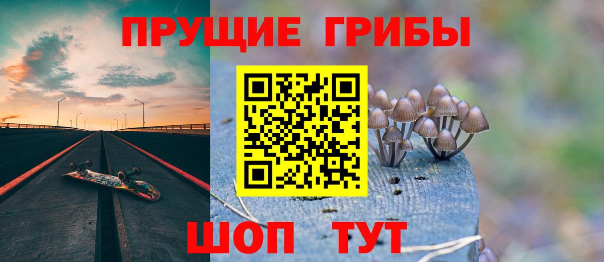 Псилоцибиновые грибы Psilocybe Красноперекопск